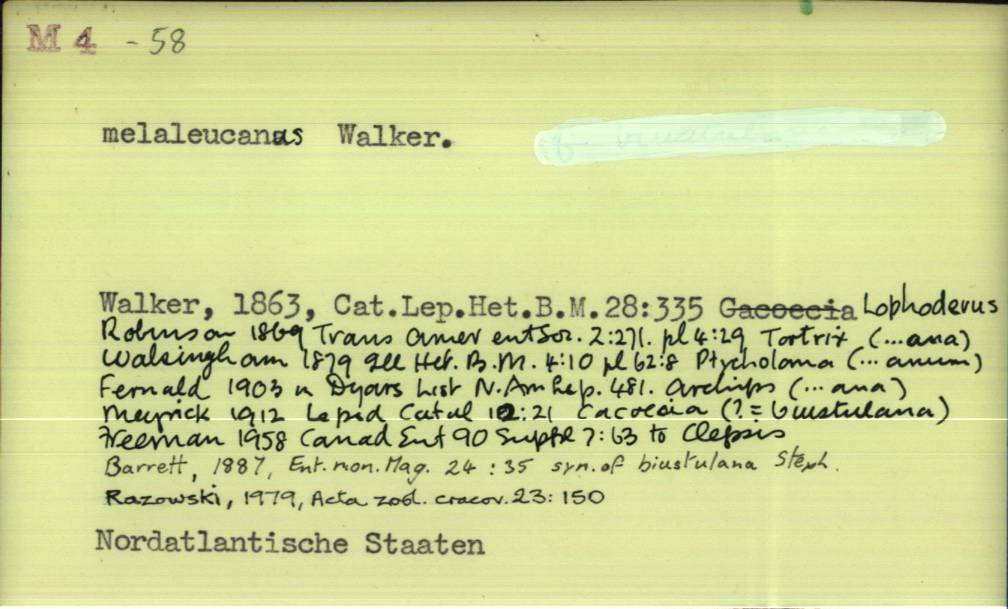 front of card